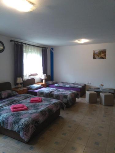 Hostel Topić