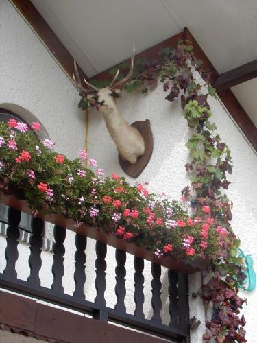 gasthof lederhose 4