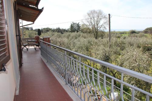 Le Coccole Del Trasimeno