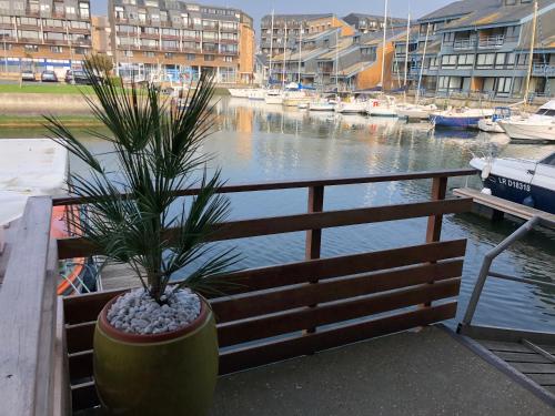 MARINA 177 DEAUVILLE - image 3
