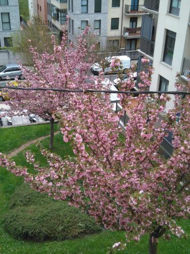 Apartamento Zurbaran