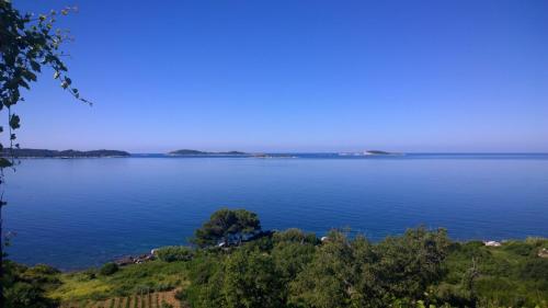 One-Bedroom Apartment with Balcony and Sea View (2 Adults)