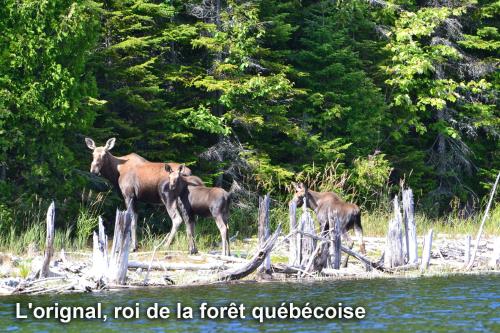 Club Tadoussac