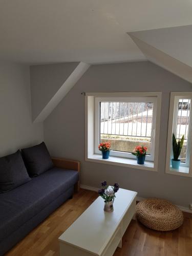 斯库特维肯40号公寓 斯库特维肯40号公寓