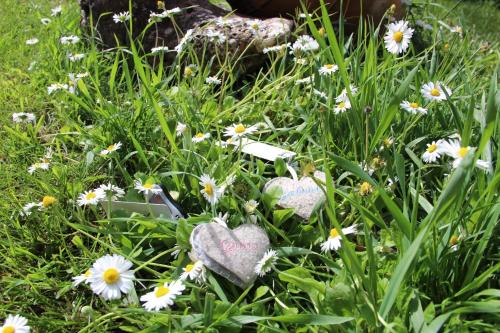 Le Coccole Del Trasimeno