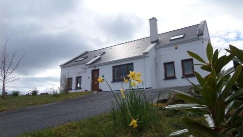 Rossroe Lodge B&B - image 6