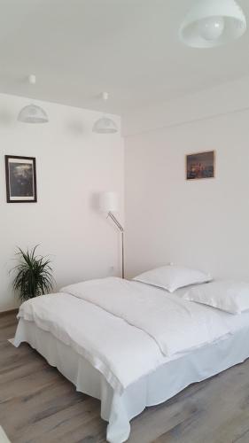 One-Bedroom Apartment image 5