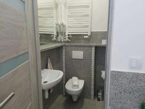 Apartamenty pod Jedynka - Jednosci Narodowej 3/1, Szklarska Poręba (zdjęcie 11)
