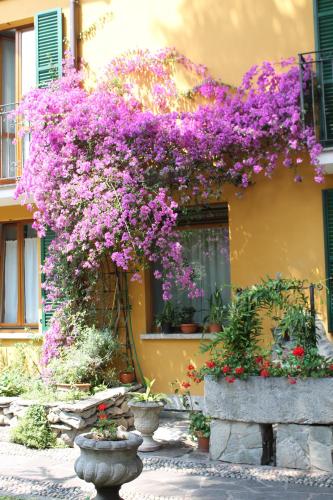 Hotel Centrale Bellagio