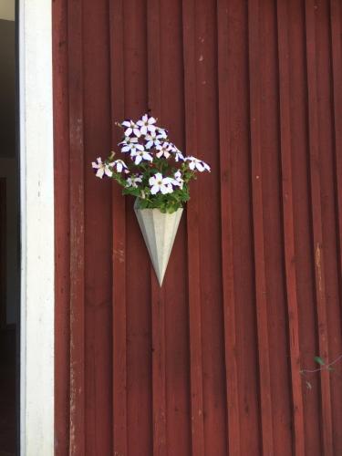 skummeslöv B & B - image 13