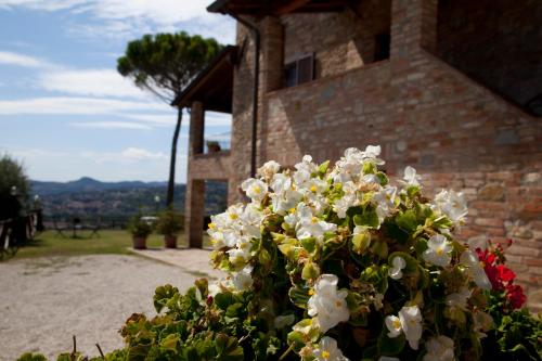 Agriturismo San Fedele