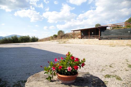 Agriturismo San Fedele