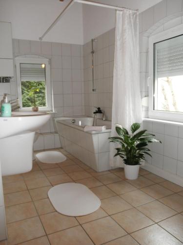 Apartment-Ferienwohnung Dresden-Briesnitz - image 7