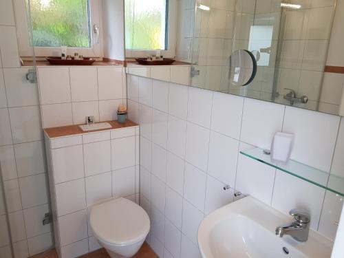Sonniges Business-Apartment - zentral und ruhig - image 3
