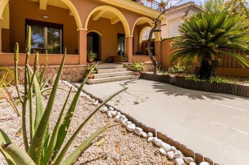 Aloe Apartments 5