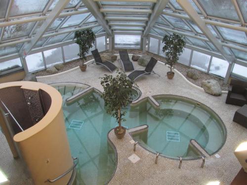 Gyógyfürdő, Wild Pheasant Hotel & Spa in Llangollen