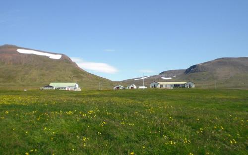 Steinnýjarstaðir