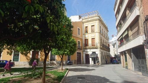 El Patio De La Piscina