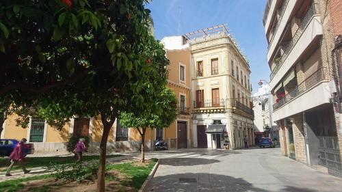 El Patio De La Piscina, Córdoba