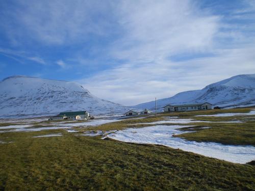 Steinnýjarstaðir