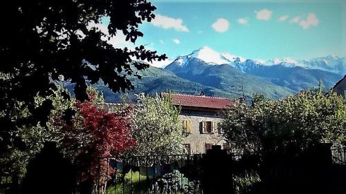 Il Giardino dei Merli