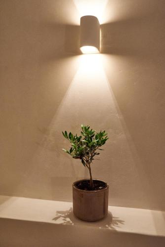 Blanco Rooms Mykonos - image 5