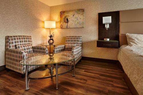 Executive Queen Room, Pet-Friendly