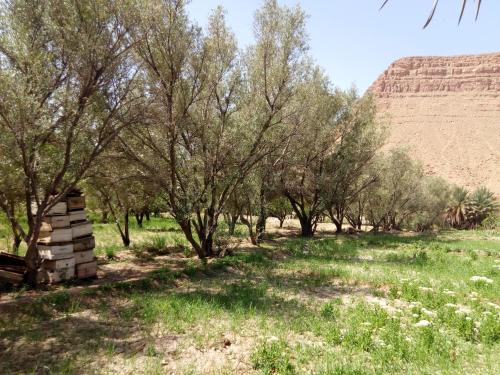 Ecolodge berbère house Ecolodge berbère house