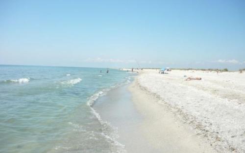 La Olteanu La Olteanu