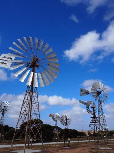 BIG4 Ceduna Tourist Park