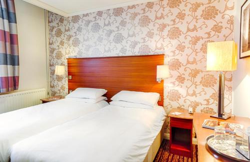 传统白天鹅酒店 传统白天鹅酒店