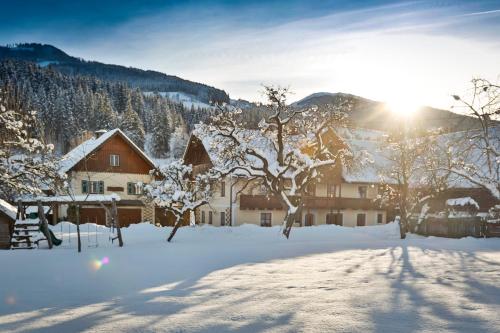 Moserhof Haus im Ennstal