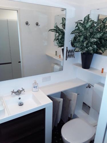 Concorditas Apartments - image 3