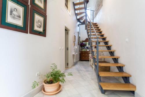 Sevilla Home Center - main image