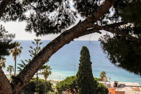  Casa di Bruna, Pension in Sanremo