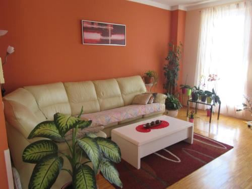 Apartment Laura in Cres