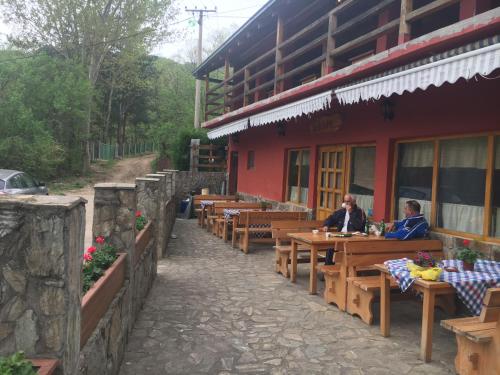Accommodation in Banja Topilo