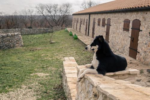 Tenuta Tedone Consolini