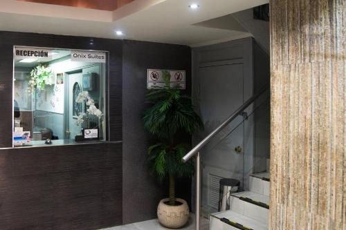 Vestabils, Hotel Onix Suites in Delicias