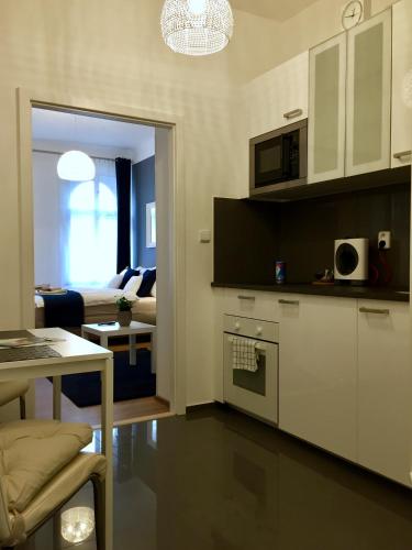 Beautiful Apartments in Prague 2