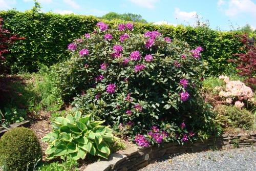 Gîte La Gernelle - image 14