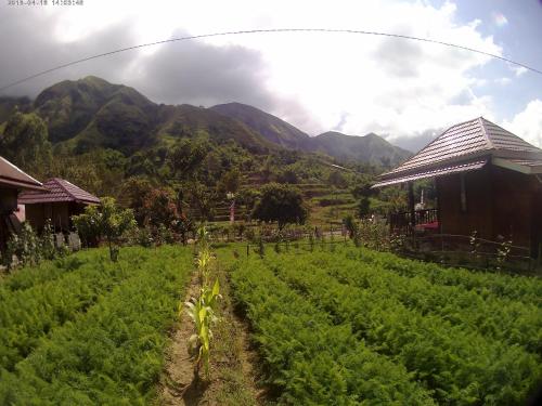 Bale Sembahulun Cottages & Tend