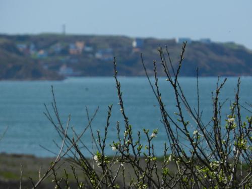 Hôtel Le Vivier WISSANT - Vue Mer - Côte d'Opale - Baie de Wissant - 2CAPS