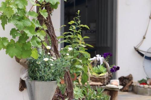 Athina Studios - image 4