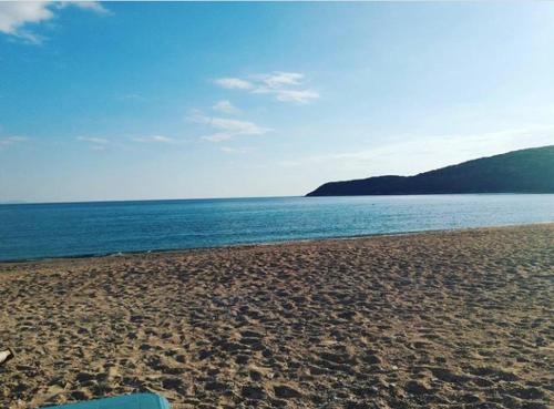 Apartmani Budva - jaz photo