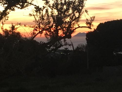 Agriturismo Seaview 2