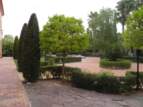 Ad Hoc Parque