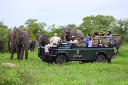 Geigers Camp Located in Timbavati Game Reserve, Geigers Camp is a perfect starting point from which to explore Kruger National Park. Offering a variety of facilities and services, the property provides all you ne