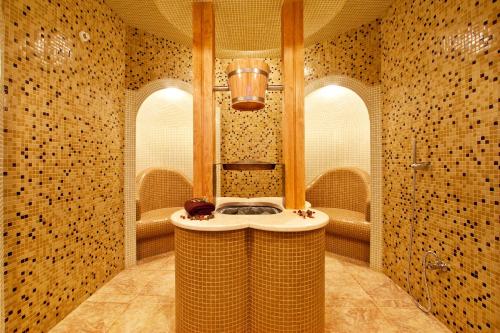Vitosha Park Hotel - image 26