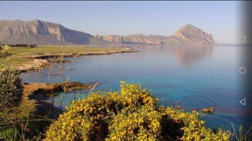 Cala di Ponente - image 6